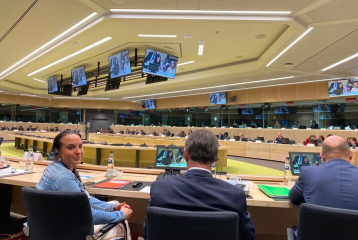 221128_EU-Bildungsministerrat_Kabinett Klinkenberg (9)